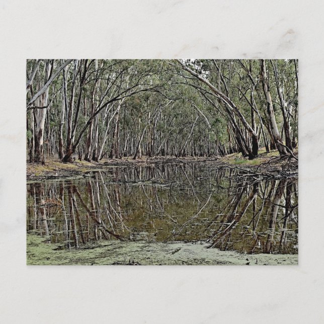 Postal Standard postcard (Anverso)