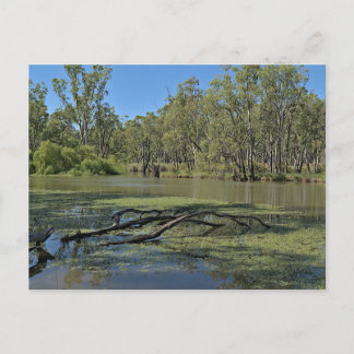 Postal Standard postcard