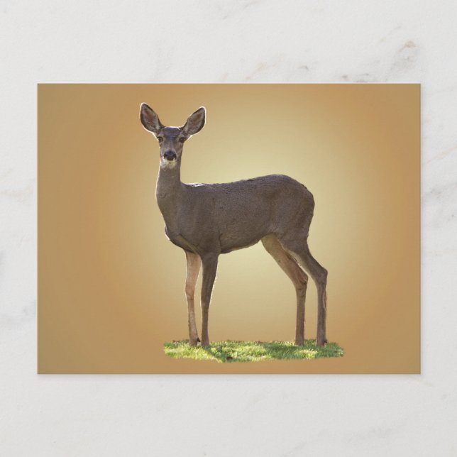 POSTAL STANDING DEER (Anverso)