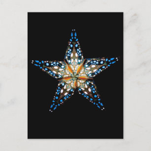 Postal Star LIght #2