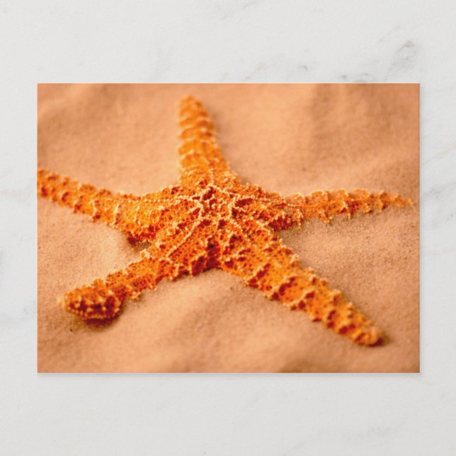 Postal Starfish (Anverso)