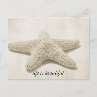 Postal Starfish