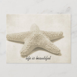 Postal Starfish