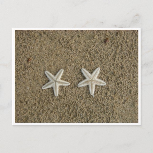 POSTAL STARFISH (Anverso)