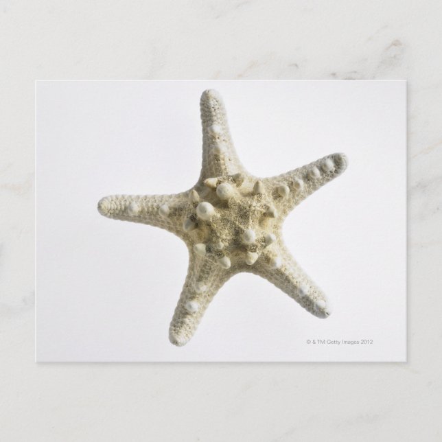 Postal Starfish (Anverso)