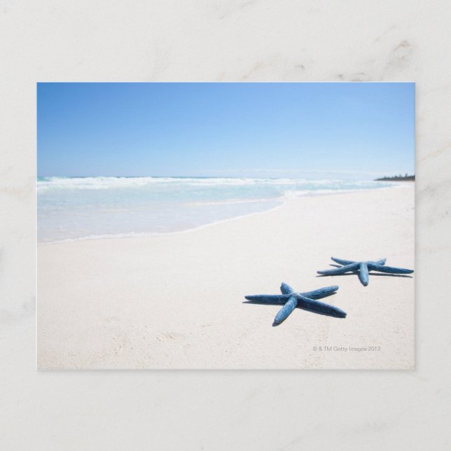Postal Starfish azul (Anverso)