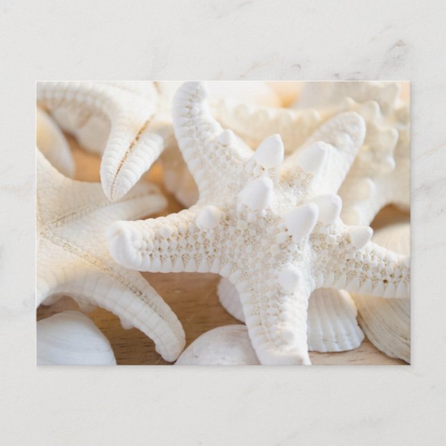 Postal Starfish blanco (Anverso)