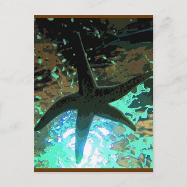 Postal Starfish CB (Anverso)