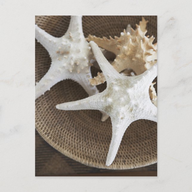 Postal Starfish en una cesta (Anverso)