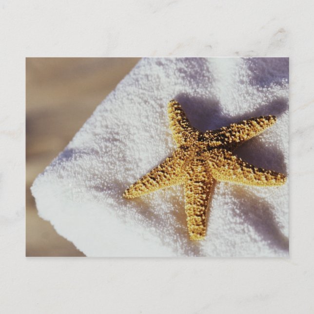 Postal Starfish En Una Toalla (Anverso)