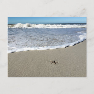 Postal Starfish esperando las olas