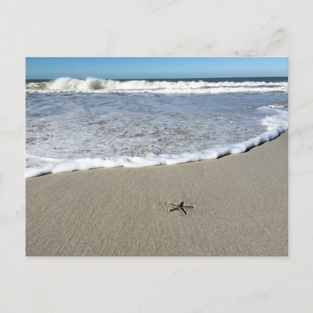 Postal Starfish esperando las olas (Anverso)