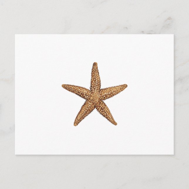Postal Starfish - Estrella del Mar del Norte (Anverso)