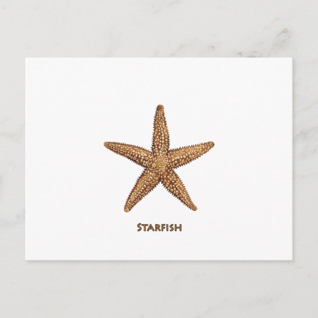 Postal Starfish - Estrella del Mar del Norte (Anverso)