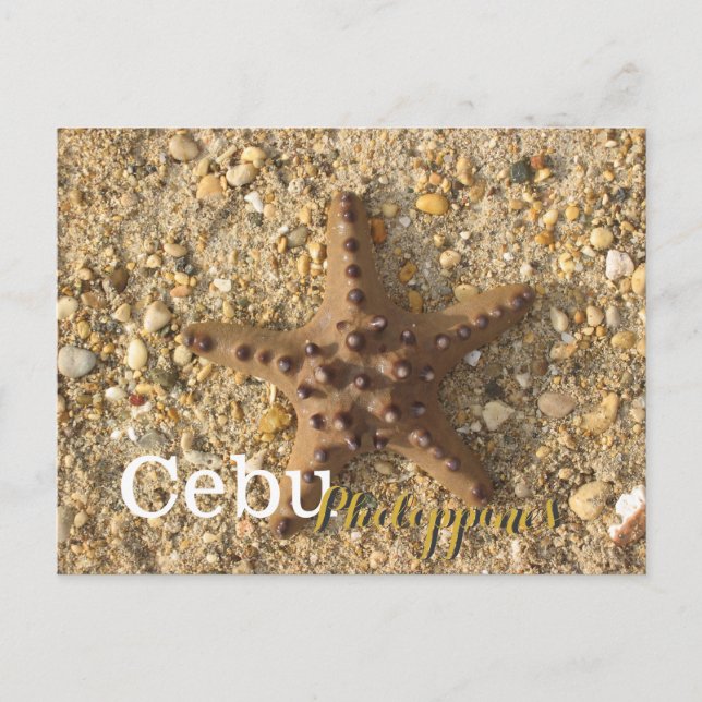 Postal Starfish marrón de Filipinas en Cebu (Anverso)