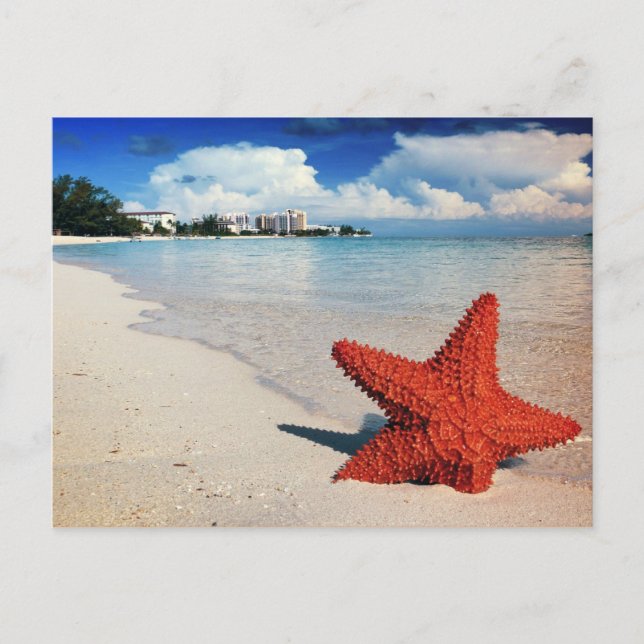 Postal Starfish, Nassau, Bahamas (Anverso)