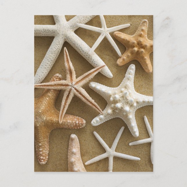 Postal Starfish On The Sand (Anverso)