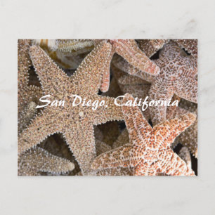Postal Starfish por todas partes, San Diego, California