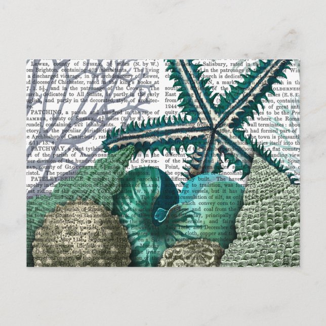 Postal Starfish Under the Sea (Anverso)