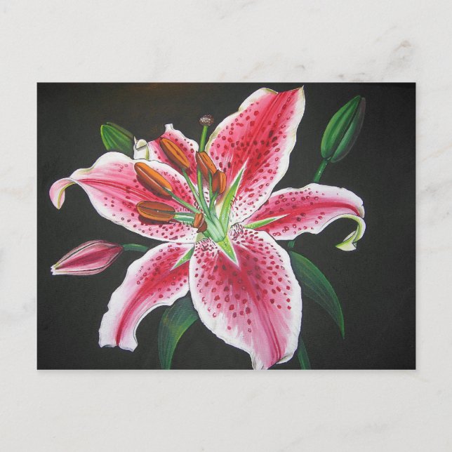 Postal Stargazer lily (Anverso)