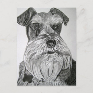 Postal Stated Schnauzer