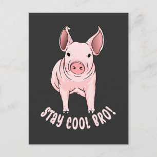 Postal Stay Guay Bro Funny Pig