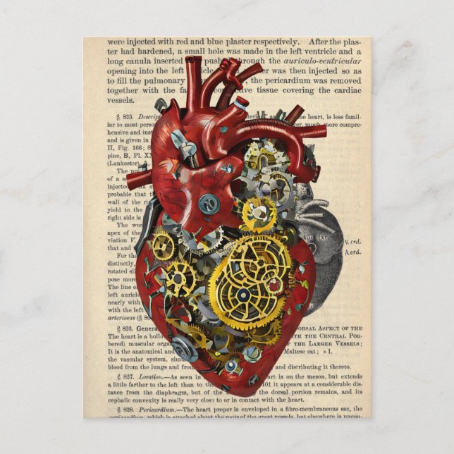 Postal Steampunk Poster de arte de anatomía cardíaca huma (Anverso)