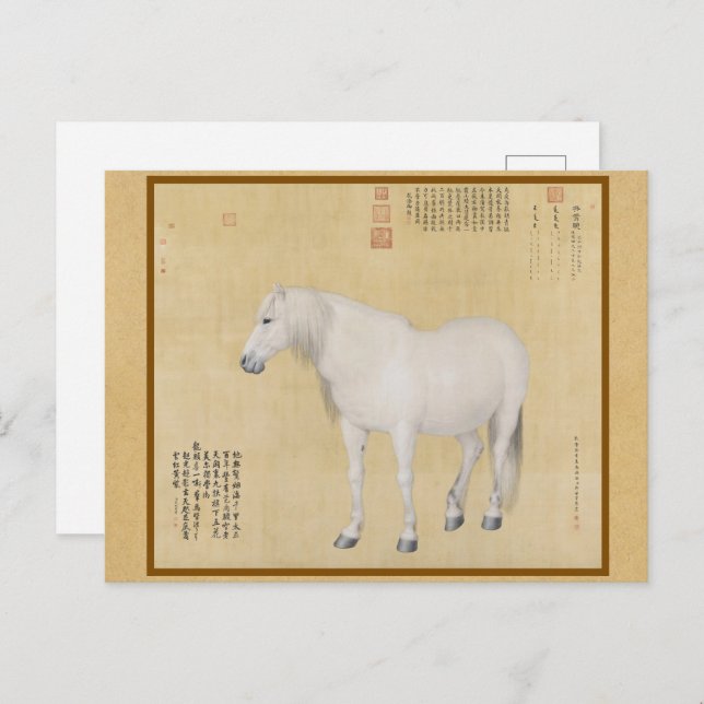 Postal Steed - Un caballo llamado Bella Artes chino Benxi (Anverso / Reverso)