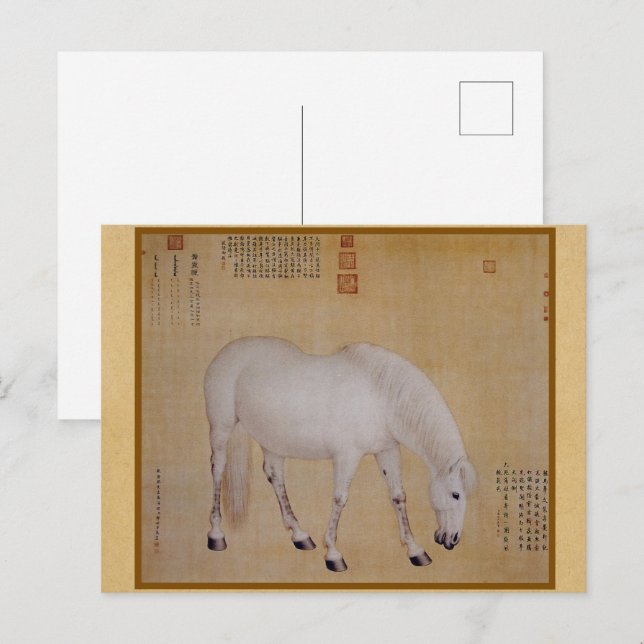 Postal Steed - Un caballo llamado Bella Artes chino Pilix (Anverso / Reverso)