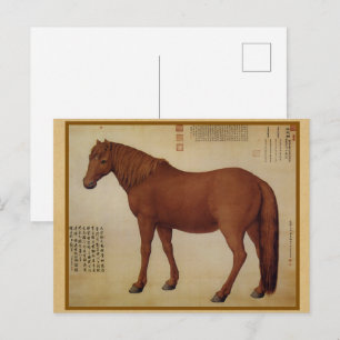 Postal Steed - Un Caballo Llamado Dawanliu Arte Chino Ref