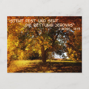 Postal Steht fest und seht die Rettung