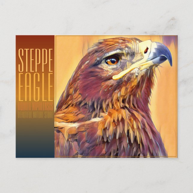 Postal Steppe Eagle [Postcard] (Anverso)
