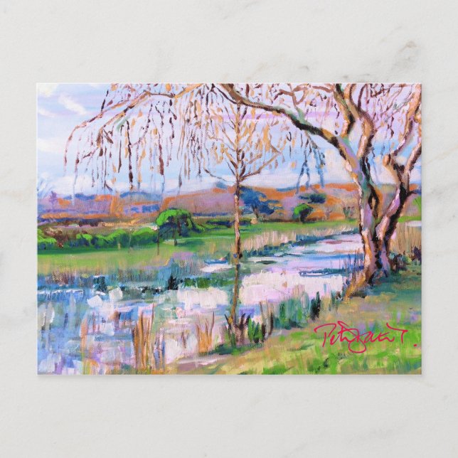 Postal Steyning West Sussex (Anverso)