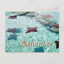 Postal Stingray