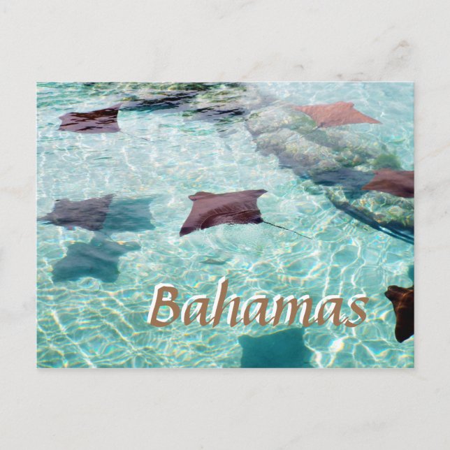 Postal Stingray (Anverso)