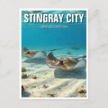 Stingrays en Gran Caimán