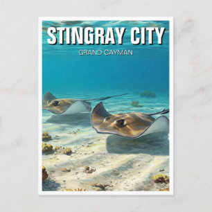 Postal Stingrays en Gran Caimán