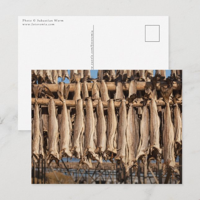 Postal Stockfish Lofoten (Anverso / Reverso)