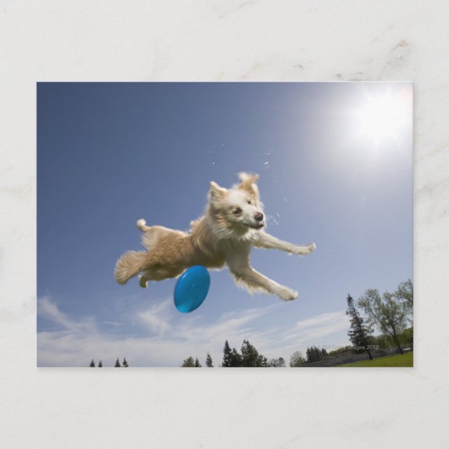 Postal Stockton, California, Estados Unidos (Anverso)