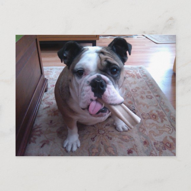 Postal Stogie (Anverso)