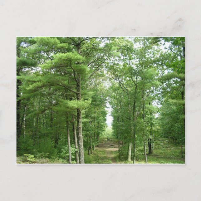 Postal Stonehenge, Salem, VT de Estados Unidos (Anverso)