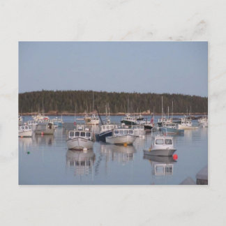 Postal "Stonington Harbour"