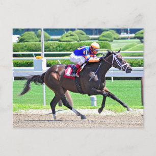 Postal Stopchargingmaria victoriosa en su primera carrera