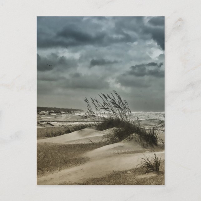 Postal Stormy Anastasia (Anverso)