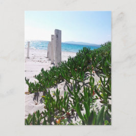 Postal Strand bei Alghero Sardinien - Postkarte