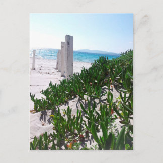Postal Strand bei Alghero Sardinien - Postkarte