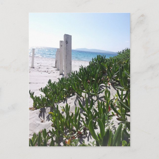 Postal Strand bei Alghero Sardinien - Postkarte (Anverso)