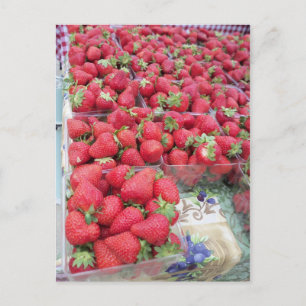 Postal Strawberry Bunch