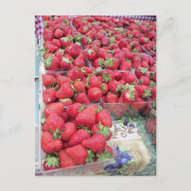 Postal Strawberry Bunch (Anverso)