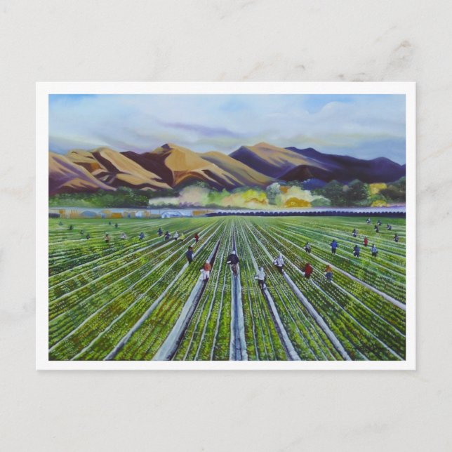 Postal Strawberry Fields (Anverso)